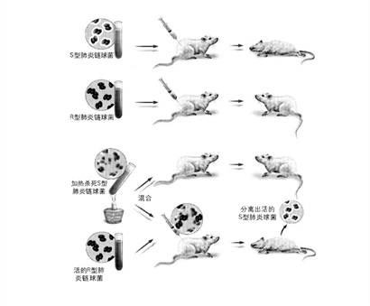 测序发展史v0517_1944_1.jpg