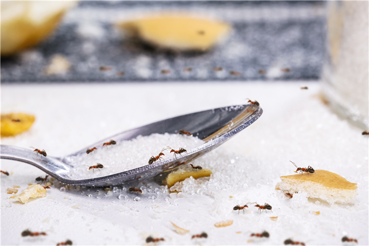 shutterstock_2173957049-2.jpg